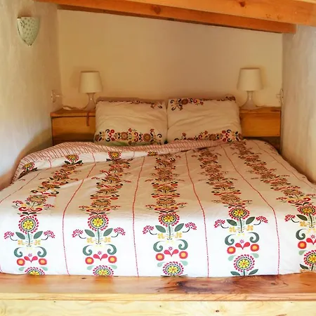 Tenerife Climbing House 호스텔